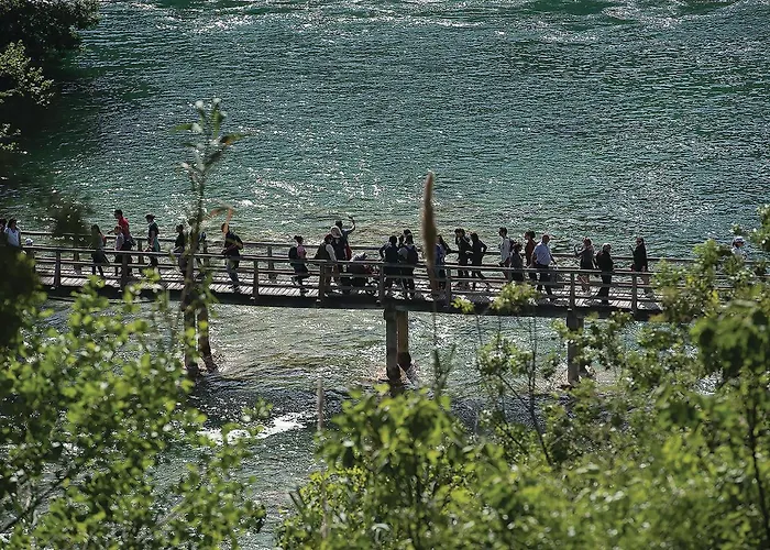 Amazing In * שיבניק